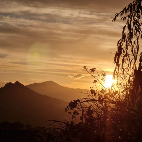 FeSeCaTo asociados S.L. en Villa del Prado, Madrid